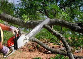 How Our Tree Care Process Works  in Kamas, UT